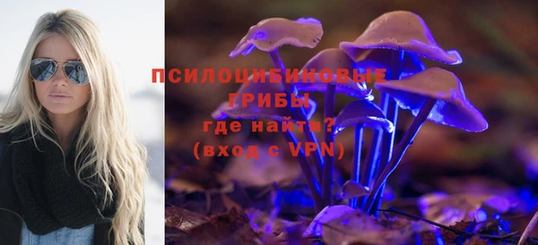 мяу мяу мука Михайлов