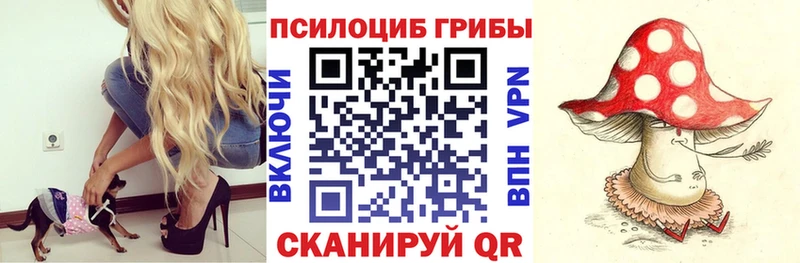 Псилоцибиновые грибы ЛСД Тулун
