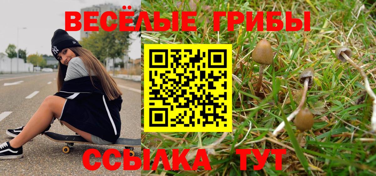 Псилоцибиновые грибы мицелий Тулун