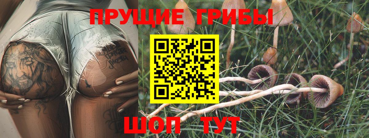Тулун  Псилоцибиновые грибы мухоморы  Вход с VPN  Псилоцибиновые грибы Cubensis 